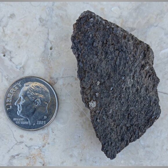 dinosaur bone fossil 02 - Picture 6 of 6